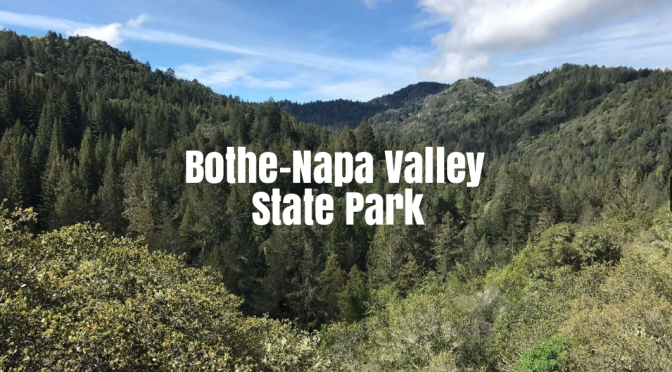 Top Hikes In California: Bothe-Napa Valley State Park Offers Redwoods & Views From Coyote Peak