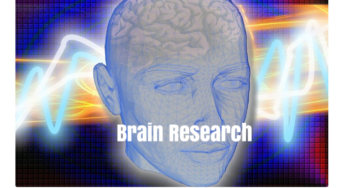 Research: UC Berkeley Announces First Large Scale Study Of Healthy Lifestyle On Aging Brains