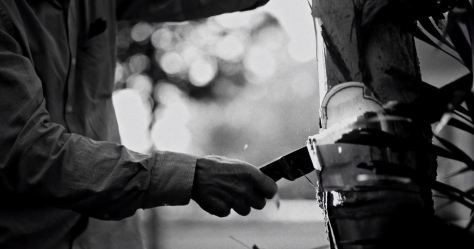 Carbon Cinematic Short Film by Felipe Hermini 2019