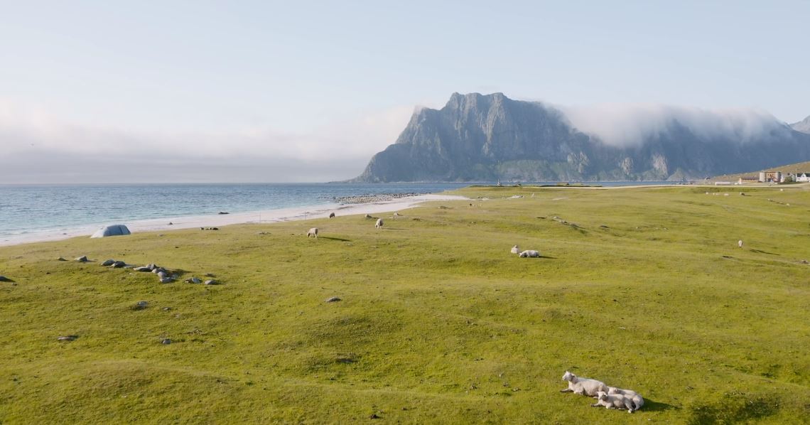 Lofoten In July 2019 Directed By Timo Oksanen