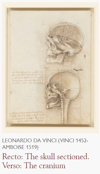 Queen's Gallery Buckingham Palace Leonardo Da Vinci Drawings