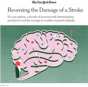 Reversing Damage of a Stroke NYT