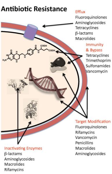 Antiobiotic Resistance Illustration