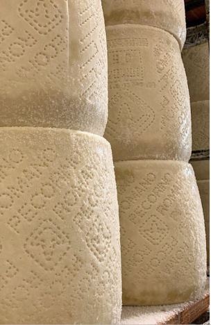 Pecorino Romano Cheese - Italy Magazine