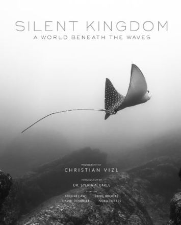 Silent Kingdom A World Beneath The Waves Christian Vizl
