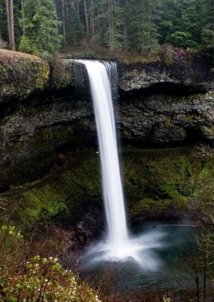 Silver Falls State Park RV Camping