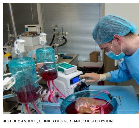 Doctors have put human livers in suspended animation - MIT Technology Review