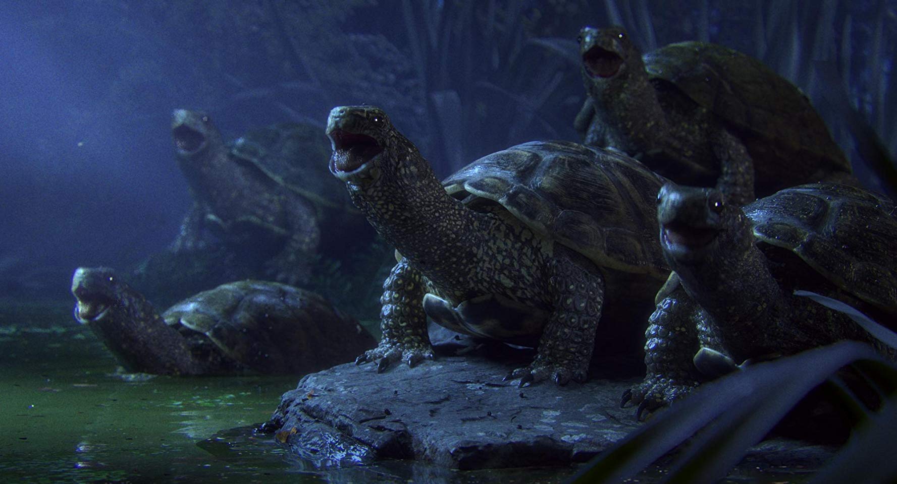 Maestro short film by Illogic 2019