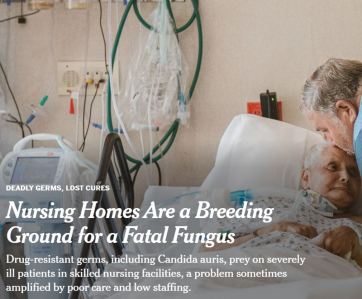 Nursing Homes article in New York Times Sept 2019