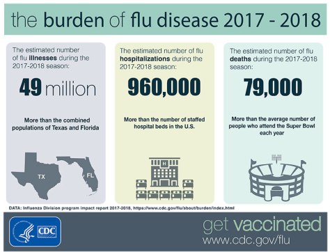 burden-flu-infographic-update
