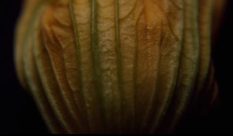 Déguste Short Film Directed by Stephane Baz 2019