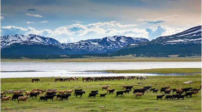 Road Trip Adventures: The “Khar Us Nuur National Park” In Mongolia