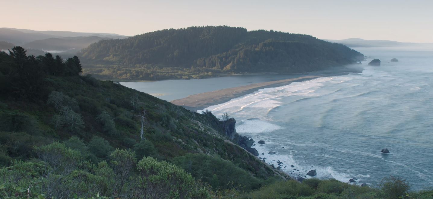 Redwoods Nature Film by Rudy Wilms (2019)