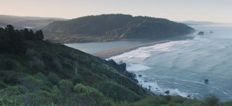 Redwoods Nature Film by Rudy Wilms (2019)