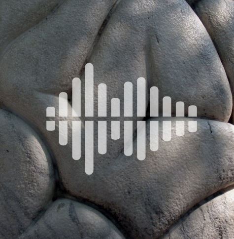 Science Mag Podcast Consciousness
