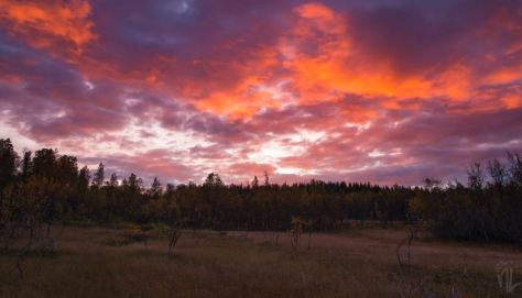 THE ARCTIC AUTUMN short film by Adrien Mauduit 2019