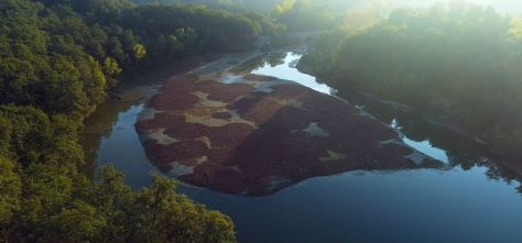 Wilderness Close To Home Short Film by Mark Soetebier 2019