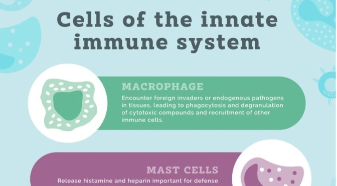 Health Infographics: Harnessing “Innate Immunity” To Treat Cancer