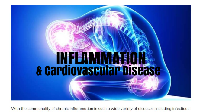 Health Studies: Reduced Mental Alertness (“Brain Fog”) Is Caused By Inflammation In The Body