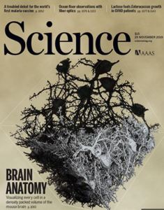 Science Magazine Nov 29 2019