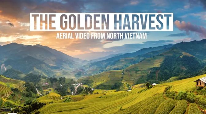 Top New Travel Videos: “The Golden Harvest” In North Vietnam (2019)