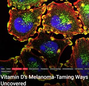 Vitamin D Tames Melanoma