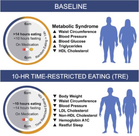 10 Hour Time Restricted Eating (TRE) Benefits