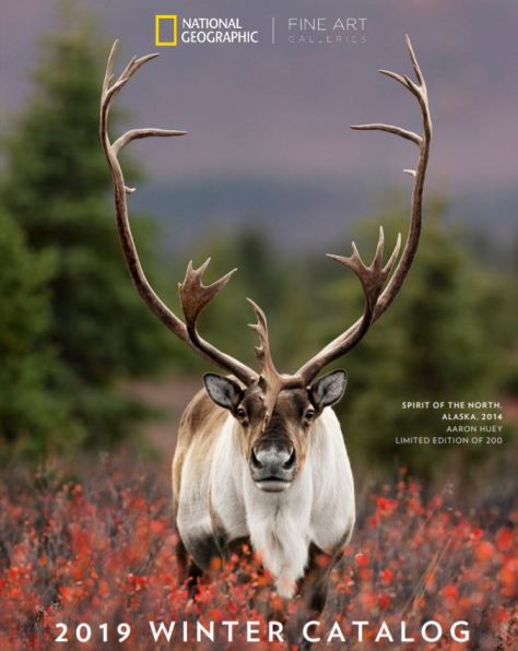 2019 National Geographic Winter Catalog