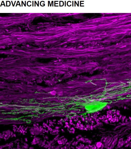 Caltech's Decade of Discovery Advancing Medicin December 19 2019