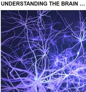 Caltech's Decade of Discovery Understanding the Brain December 19 2019