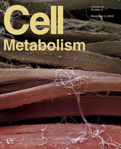 Cell Metabolism December 2019