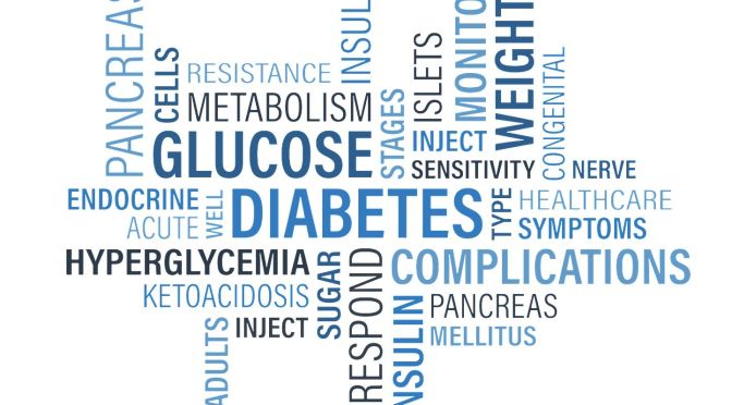 Health Research: Type 2 Diabetes Caused By “Overflow Of Fat” From Liver To Pancreas