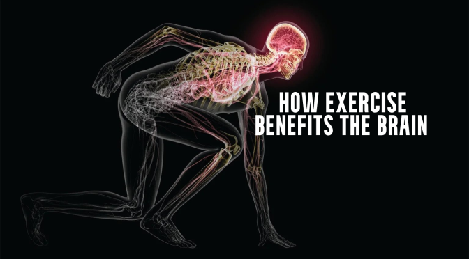 Studies: “Why Your Brain Needs Exercise” (Scientific American)