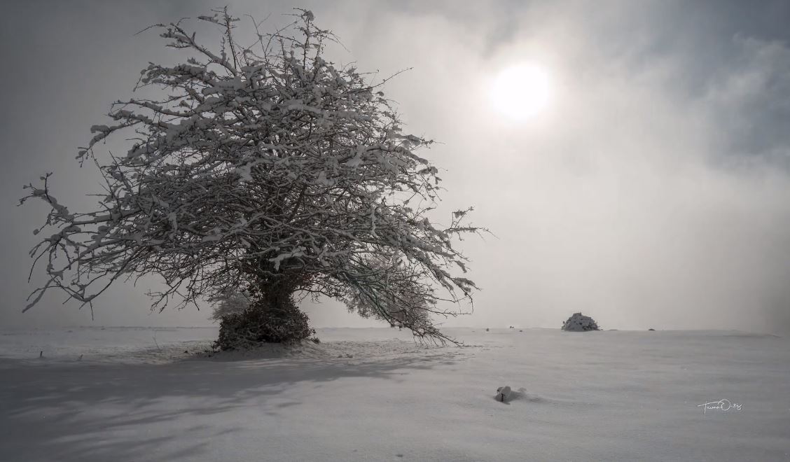 Navarre Paradise Lost Timelapse Travel Video by Txema Ortiz 2019