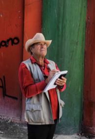 Paul Theroux's On The Plain of Snakes A Mexican Journey