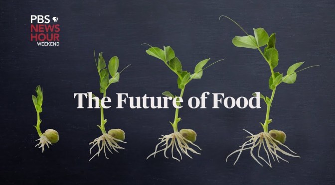 “Future Of Food”: Fast-Growing Salmon, Cell-Based Meat, Diversified Crop Rotation (PBS)