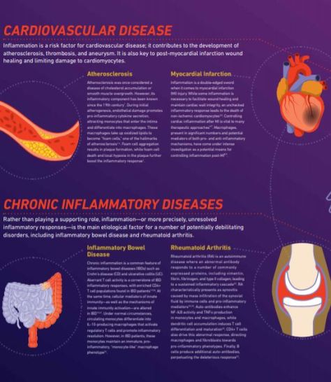 The Role of Inflammation In Disease Chronic Inflammatory Diseases TheScientist 2