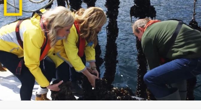 Top New Travel Videos: “Harvesting Mussels In Ireland” (Trip Sisters -National Geographic)