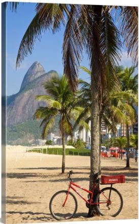 Brazil, Rio De Janeiro, Leblon beach, Bike leaning on palm tree Wall Art by Jane Sweeney