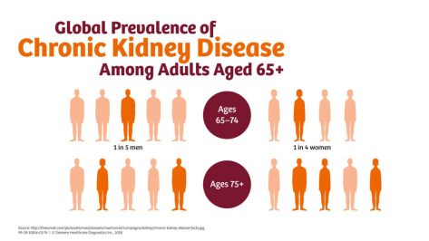Chronic Kidney Disease A Global Crisis Siemens Healthineers