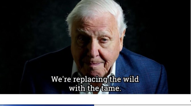 “David Attenborough – A Life On Our Planet” Recounts 93-Year Old’s Life In Nature (Trailer)