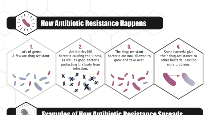 Study: “Probiotic Drink” Developed That Thwarts Antibiotic Resistance