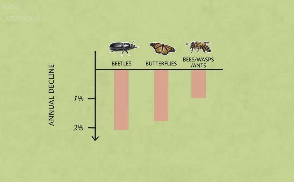 Improving flowers to help feed the world Cambridge University Video January 21 2020
