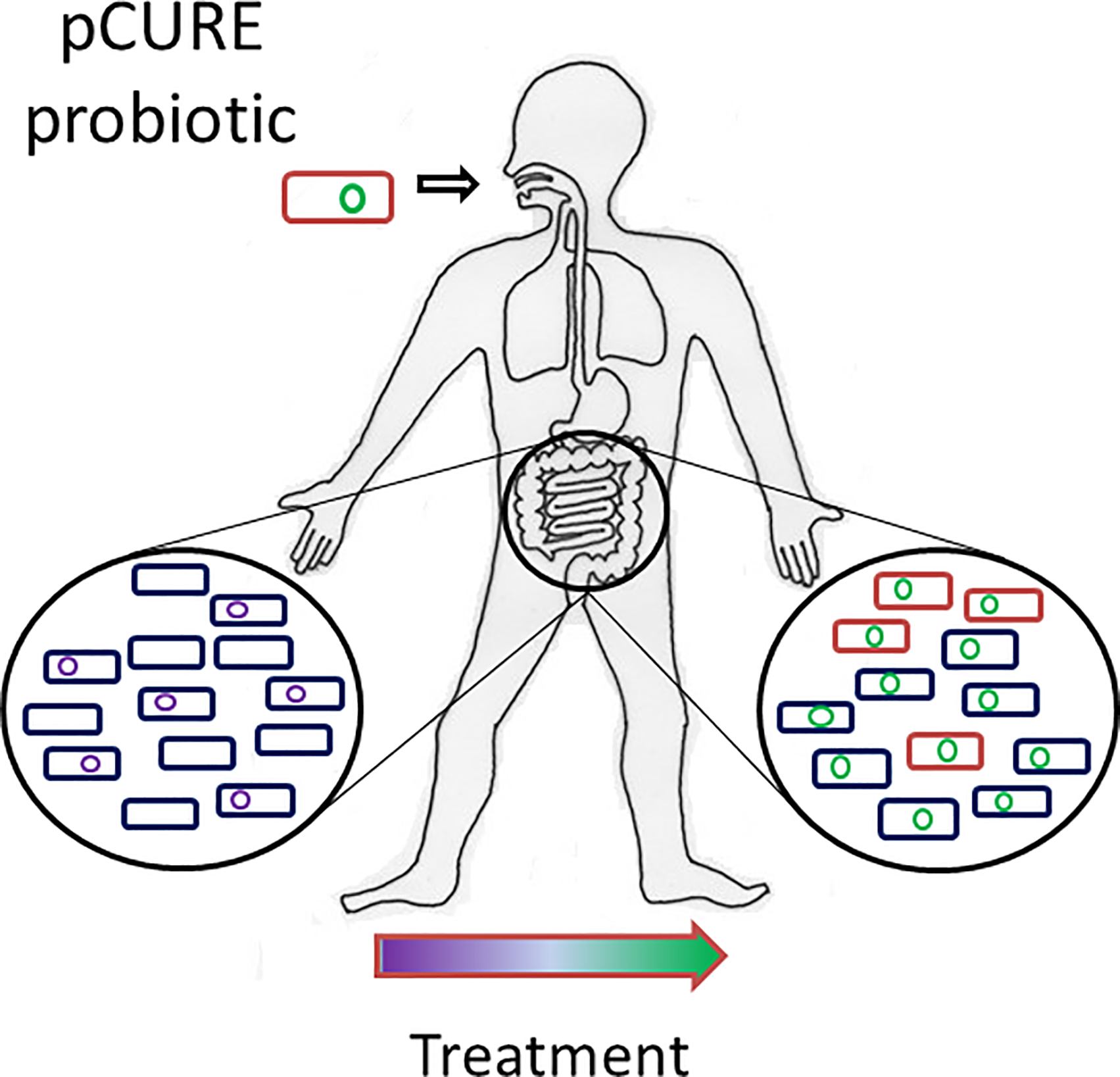 journal.pone.0225202.g001