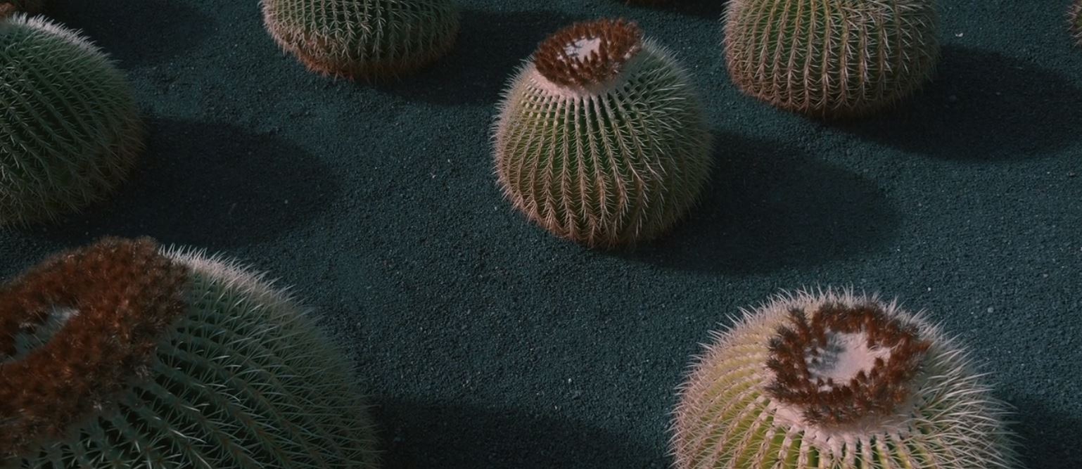 Lanzarote The Wonder Landscape Landscapre Travel Film by L'oeil d'Eos 2020