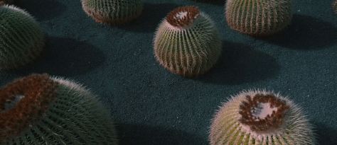 Lanzarote The Wonder Landscape Landscapre Travel Film by L'oeil d'Eos 2020