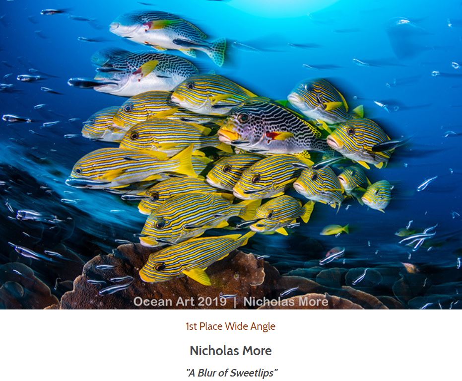 Ocean Art 2019 1st Place Wide Angle Nicolas More A Blur of Sweetlips