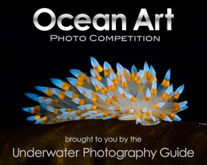 Ocean Art Photo Competition 2019