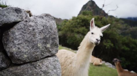 Peru Land of the Incas Travel Video by Marty Mellway January 21 2020
