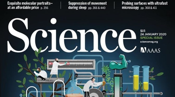Science Magazine News: Thin Air, Cayman Islands And Brain Arousal States